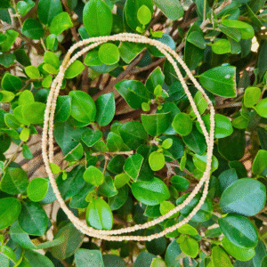 2 Round Pure Tulsi Kanthi Mala Original Tulsi