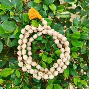 108+1 Original Tulsi Japa Mala 10,12mm