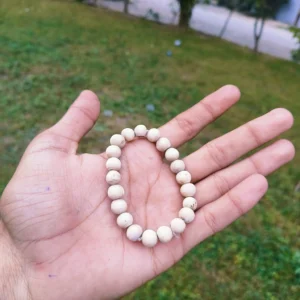 Round beads pure Tulsi bracelet made from sacred Tulsi wood for spiritual wear