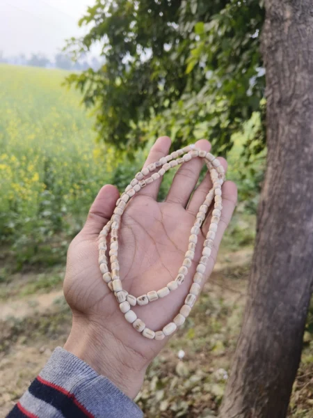 Tulsi Kanthi Mala – Pure Tulsi