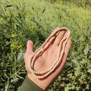 2-Round Tulsi Kanthi Mala (pure tulsi)